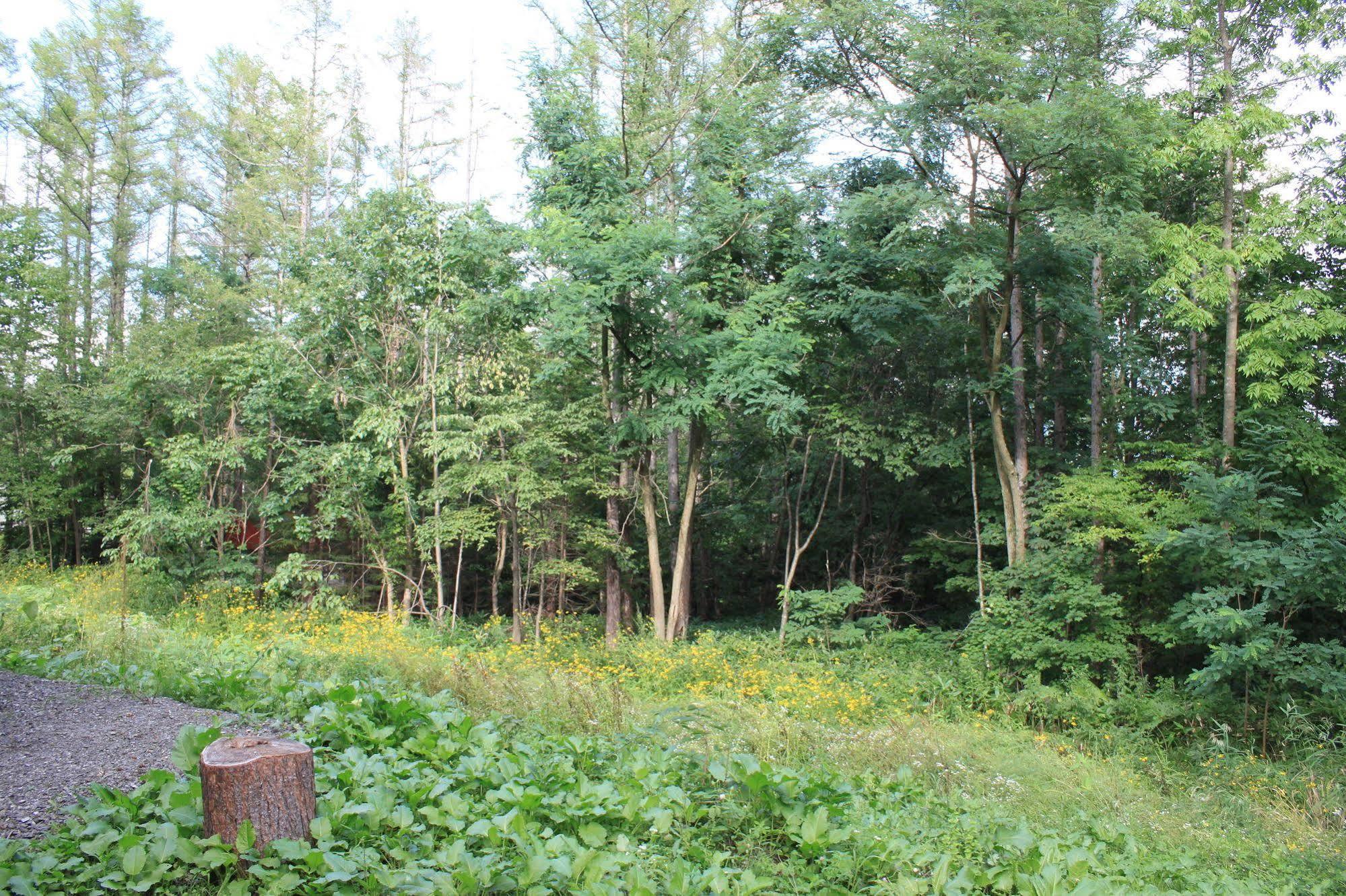 Ituka Furano E Guest House ภายนอก รูปภาพ